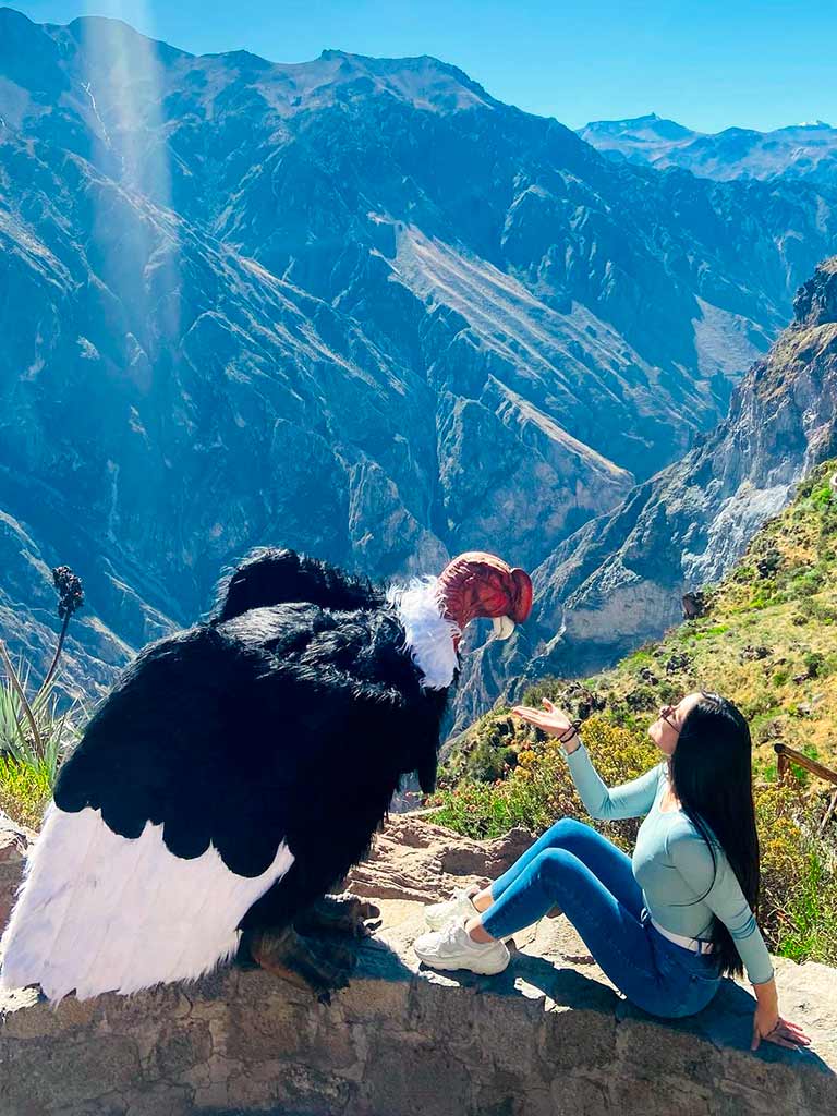 Vuelo del condor Arequipa
